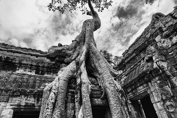 Photograph Eugenia Kyriakopoulou When Nature Takes Over on One Eyeland
